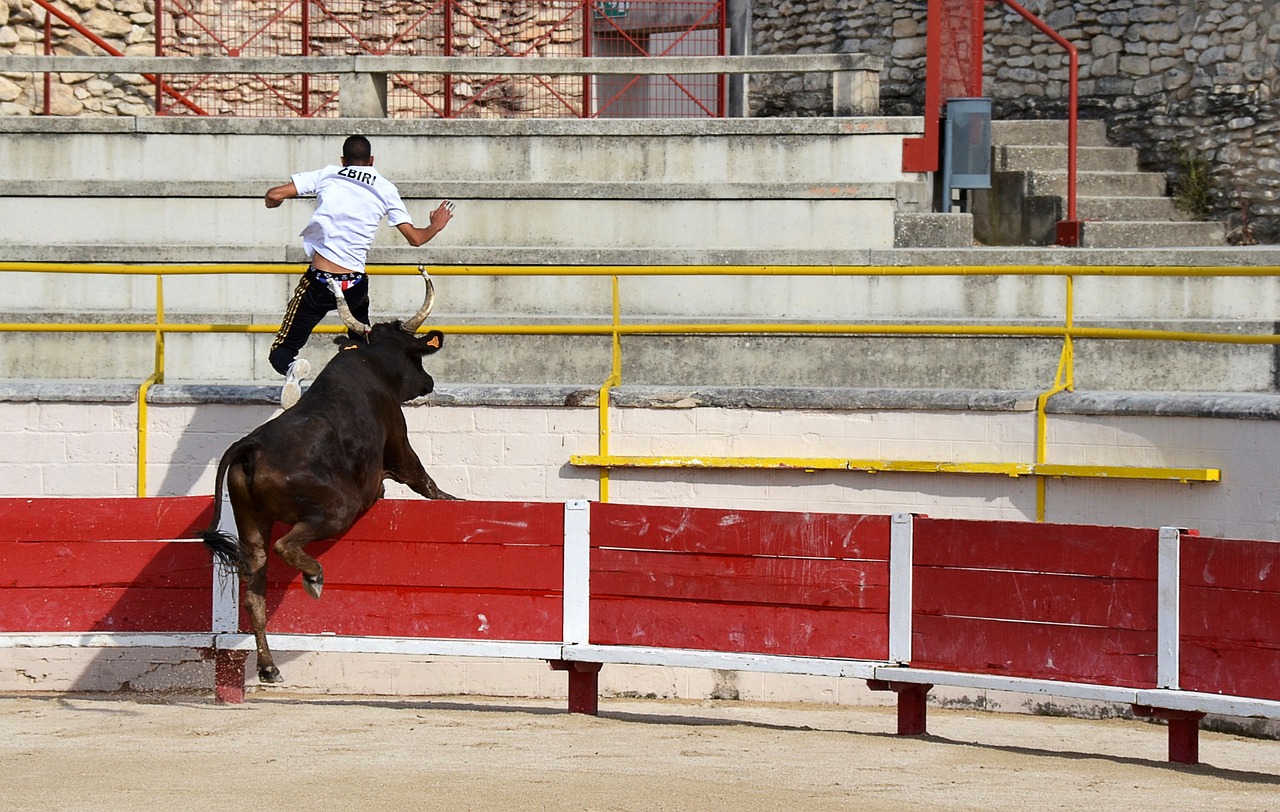 適合人群
