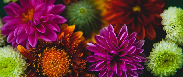 历久弥新 历久弥新