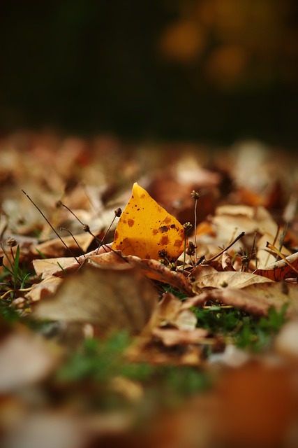 合同到期中 合同到期中