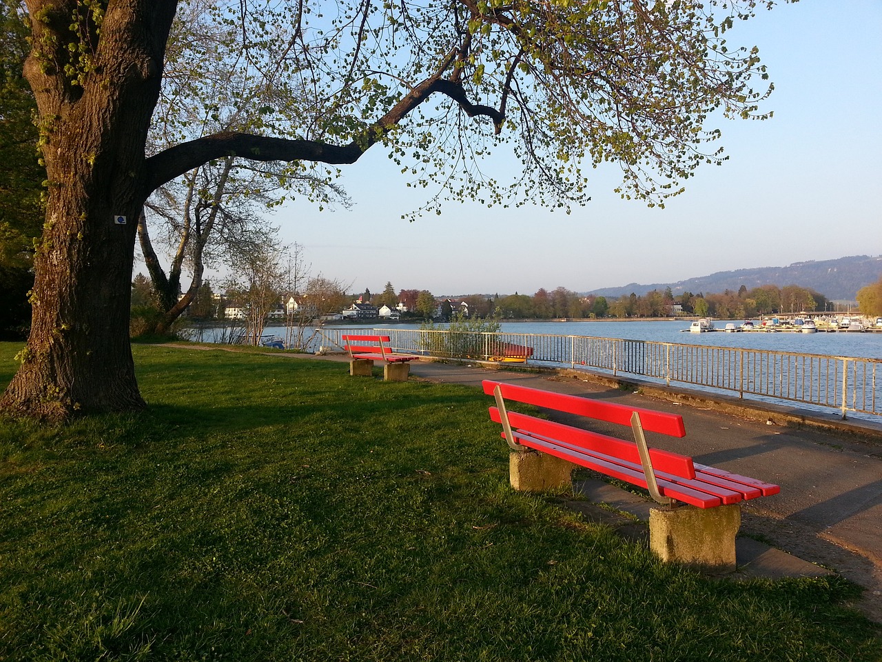 过渡阶段 过渡阶段